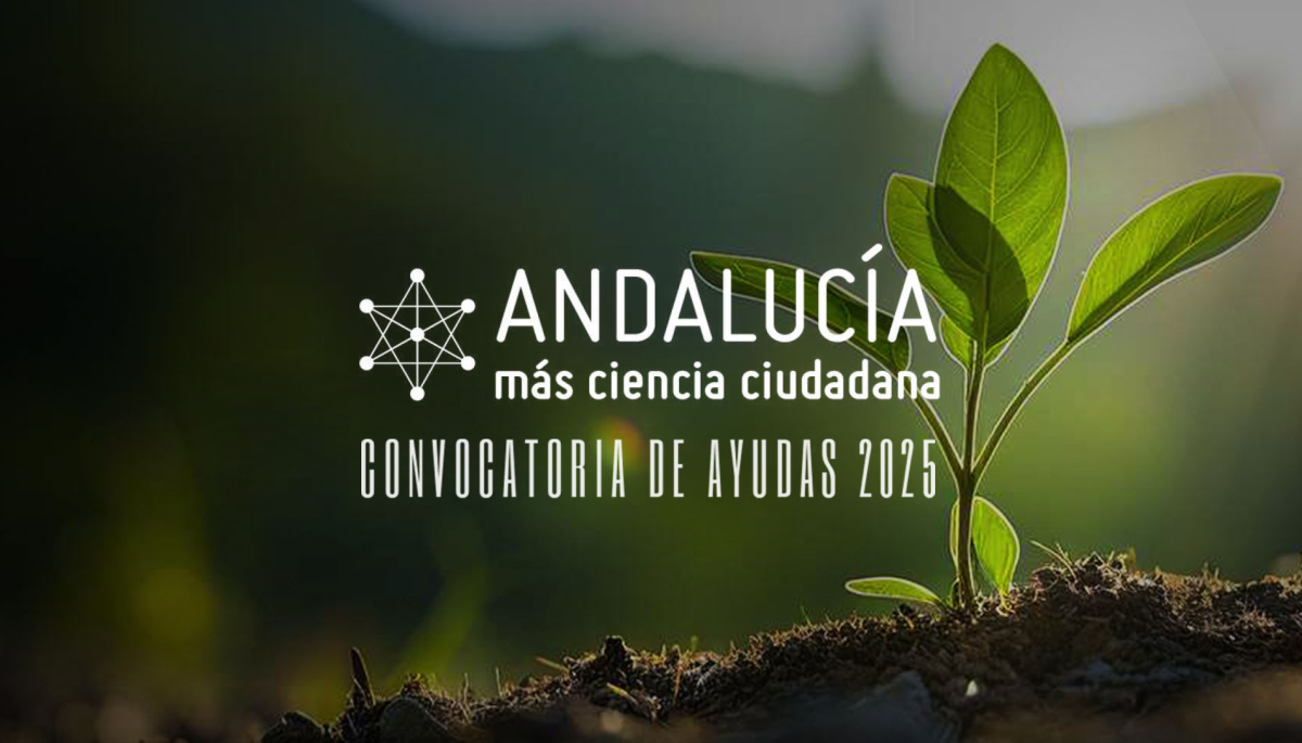 Imagen destacada para la Convocatoria de Ayudas 2025 “Andalucía, Mejor con Ciencia”.