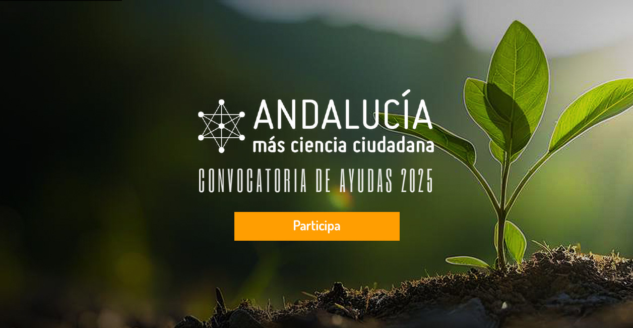 Abierta la Convocatoria de Ayudas 2025 “Andalucía Mejor con Ciencia”.