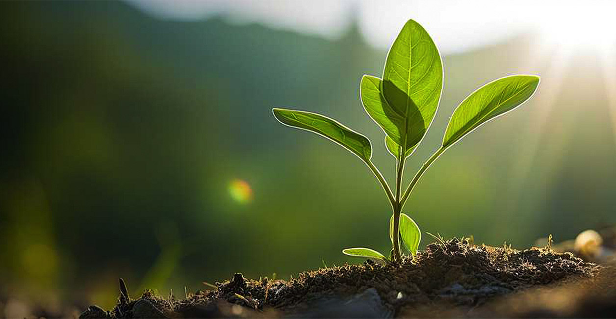 Imagen destacada para la Convocatoria de Ayudas 2025 “Andalucía, Mejor con Ciencia”.